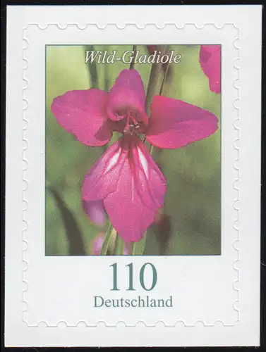 3489 Blume Wild-Gladiole 110 Cent, selbstklebend auf neutraler Folie, **