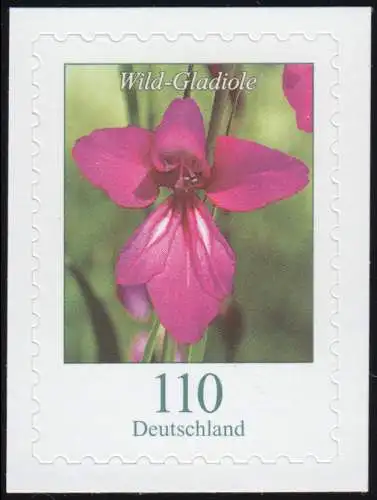 3489 Blume Wild-Gladiole 110 Cent, selbstklebend auf neutraler Folie, **