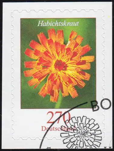 3490 Blume Habichtskraut 270 Cent, selbstklebend auf neutraler Folie, O
