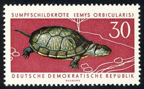 980 Geschützte Tiere Sumpfschildkröte 30 Pf **