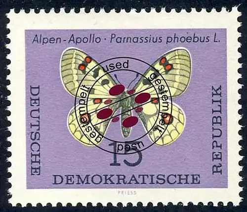 1005 papillons alpenapello 15 Pf O