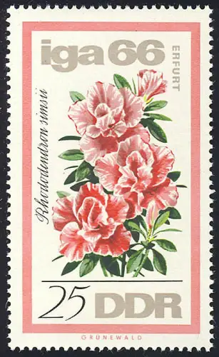 1190 IGA Indien Azalee 25 Pf ** post-fraîchissement