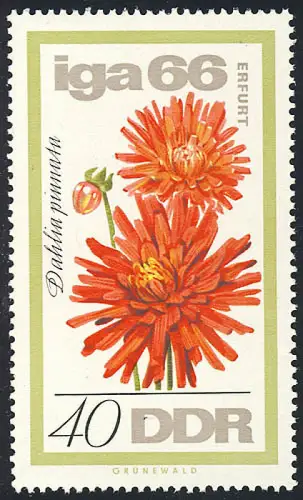 1191 IGA Dahlie 40 Pf ** post-fraîchissement