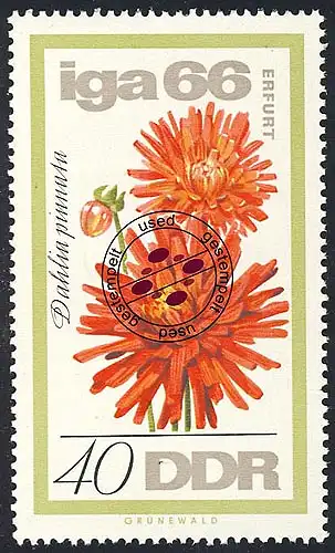 1191 IGA Dahlie 40 Pf O Tamponné