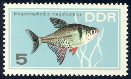 1221 Poissons d'ornement Semelles fantômes 5 Pf **