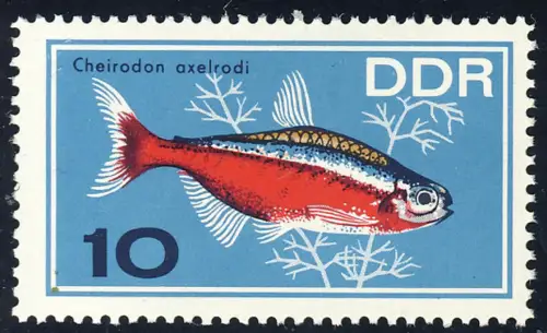 1222 Poissons d'ornement Neon rouge 10 Pf **