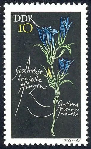 1242 Plantes domestiques Pneumonenzian 10 Pf **