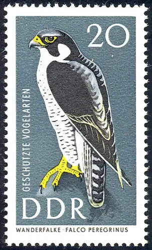 1274 Geschützte Vögel Wanderfalke 20 Pf ** postfrisch