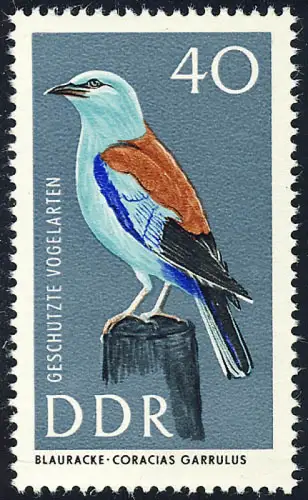 1277 Geschützte Vögel Blauracke 40 Pf ** postfrisch