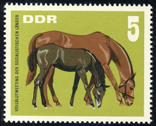 1302 Réunion de sang total Stauce mère avec poulain 5 Pf **