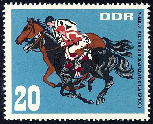 1304 Réunion de sang total Course de galop 20 Pf O