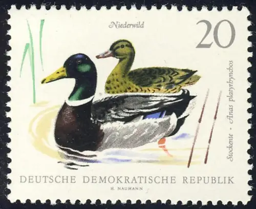 1359 Niederwild Stockenten 20 Pf ** postfrisch