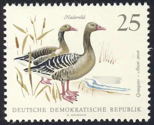 1360 Niederwild Graugänse 25 Pf ** postfrisch