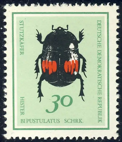 1415 Scarabée à taches de feu 30 Pf **