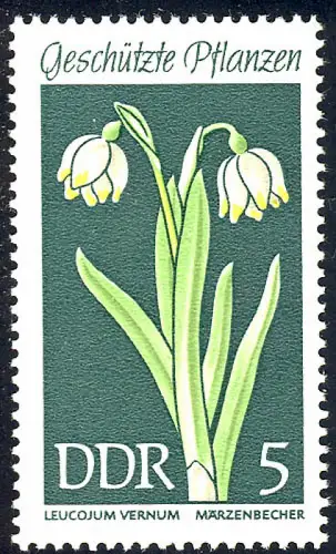 1456 Plantes domestiques Tasses de mars 5 Pf **