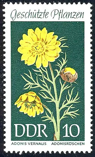 1457 Heimische Pflanzen Frühlingsadonisröschen 10 Pf **