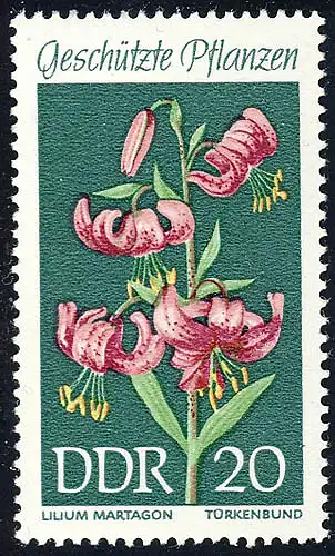 1459 Heimische Pflanzen Türkenbund 20 Pf **