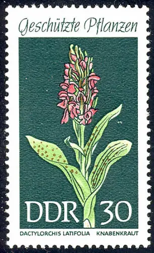 1461 Plantes domestiques Herbacées de garçons 30 Pf **