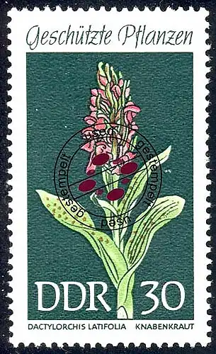 1461 Plantes domestiques Herbacées de garçons 30 Pf O Tamponné