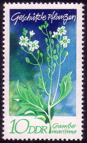 1563 Plantes indigènes Choux de mer 10 Pf **