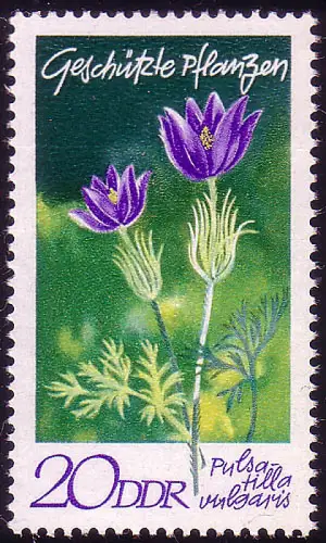 1564 Plantes domestiques Vache/cuisine 20 Pf **