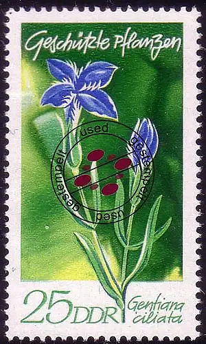 1565 Plantes domestiques Fransenenzian 25 Pf O Tamponné