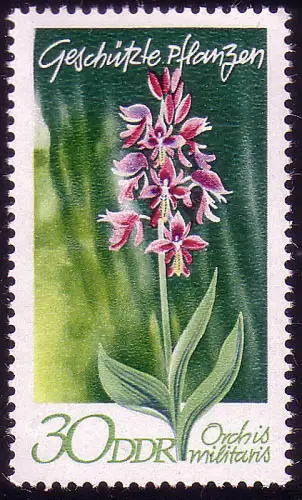 1566 Plantes domestiques Gibier de casque 30 Pf