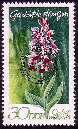 1566 Plantes domestiques Herbivores 30 Pf O Tamponné