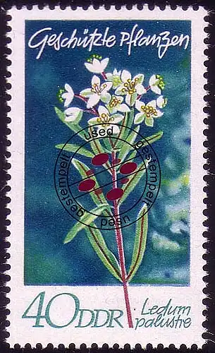 1567 Heimische Pflanzen Sumpfporst 40 Pf O gestempelt