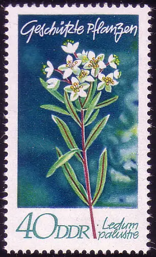 1567 Plantes domestiques Porsche de marais 40 Pf **