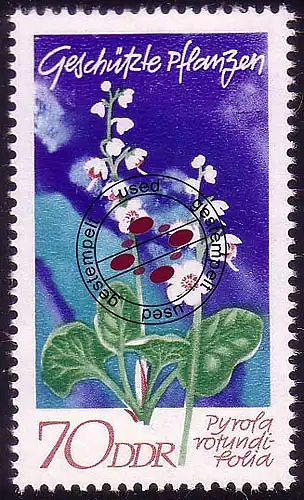 1568 Plantes domestiques Vert hivernal 70 Pf O Tamponné