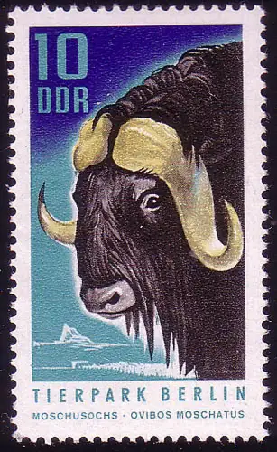 1617 Tierpark Berlin Muschusochse 10 Pf **