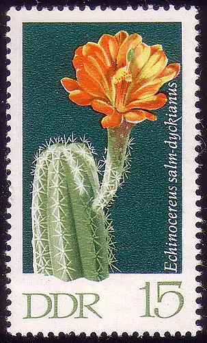 1627 Cactus Echinocereus 15 Pf **