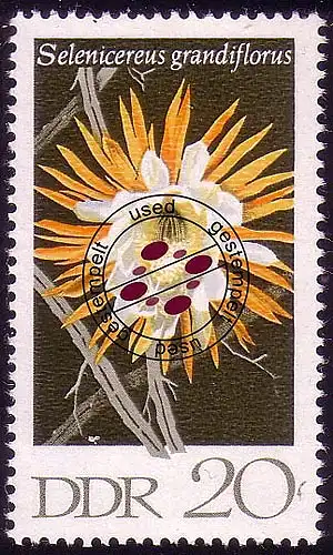 1628 Cactus Reine de la Nuit 20 Pf O Tamponné