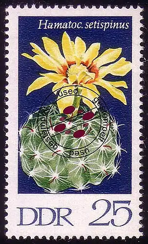 1629 Cactus Tachygraphe 25 Pf O Tamponné