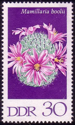 1630 Cactus Cacactus de verrue 30 Pf