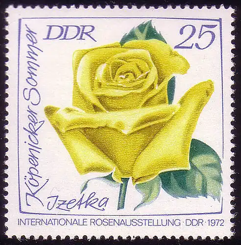 1767 Exposition de roses Köpenicker Été 25 Pf **