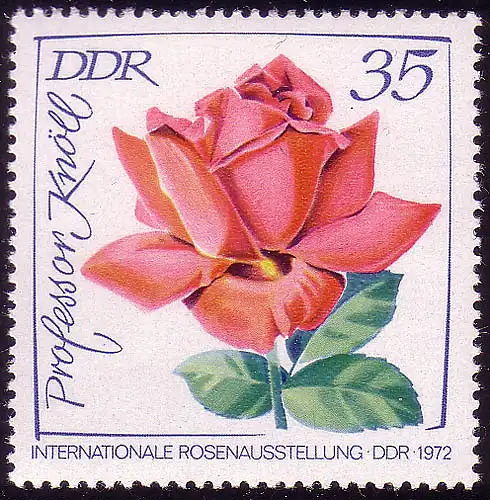 1768 Exposition de roses Professeur Knöll 35 Pf