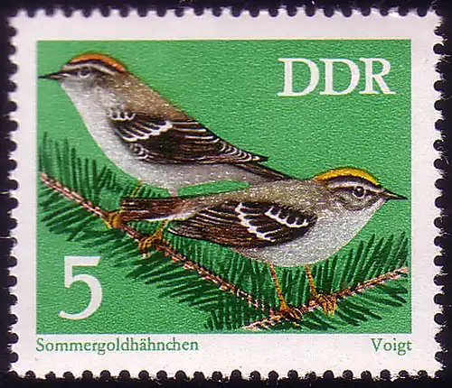 1834 Singvögel Sommergoldhähnchen 5 Pf ** postfrisch
