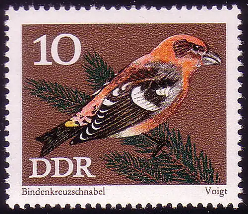 1835 Singvögel Bindenkreuzschnabel 10 Pf ** postfrisch