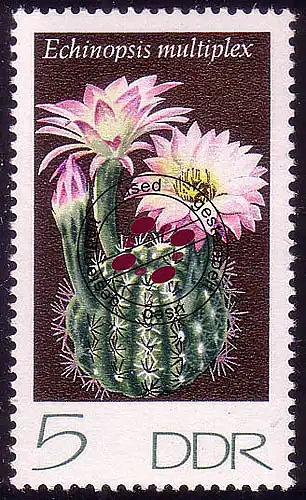 1922 Cactus à sphère 5 Pf O Tamponné