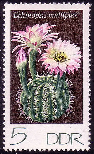 1922 Cactus à sphère 5 Pf **