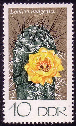 1923 Cactus à sphère 10 Pf **