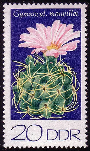 1925 Cactus Igelkactus 20 Pf
