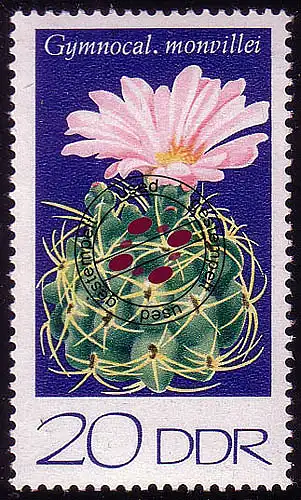 1925 Cactus hérisson 20 Pf O Tamponné