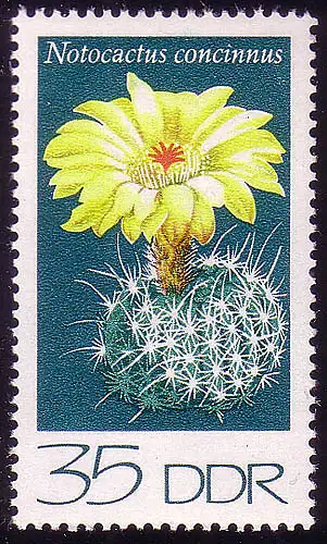 1927 Cactus Igelkactus 35 Pf