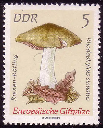 1933 Champignon géant 5 Pf **