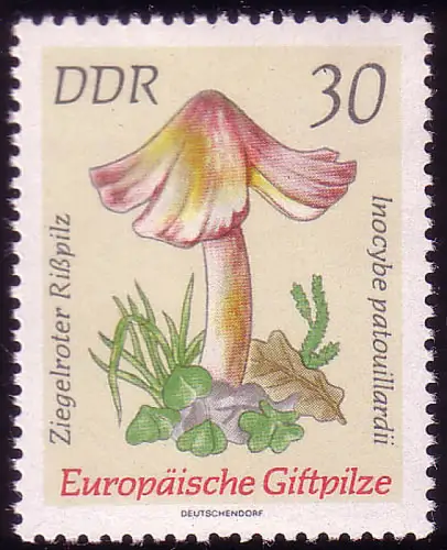 1938 Giftpilze Ziegelroter Rißpilz 30 Pf ** postfrisch