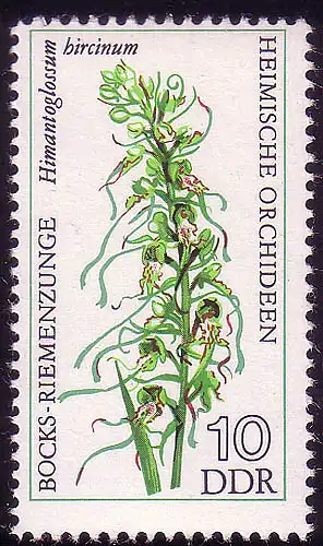 2135 Orchidées domestiques 10 Pf **