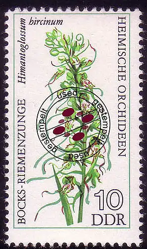 2135 Orchidées domestiques 10 Pf O